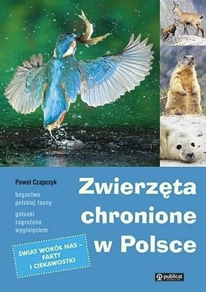 ZWIERZĘTA CHRONIONE W POLSCE wydawnictwo PUBLICAT (1)