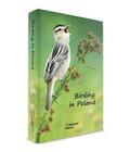 Birding in Poland (2)