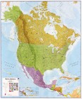 AMERYKA PÓŁNOCNA mapa ścienna 1:7 000 000 Maps International (1)